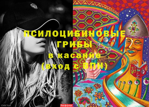 дурь Белоозёрский