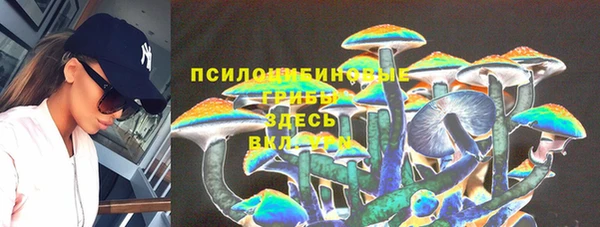 тгк Беломорск