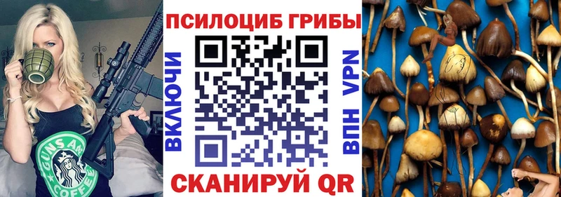 Купить  Называевск  Псилоцибиновые грибы мицелий 