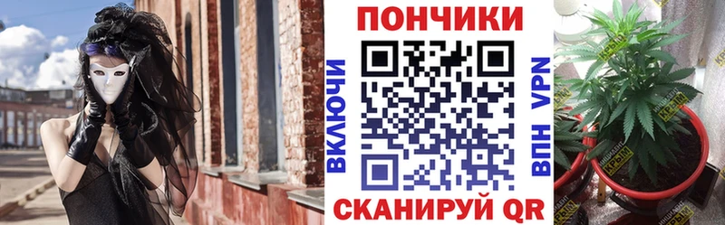 Каннабис VHQ  Купить где  Называевск 